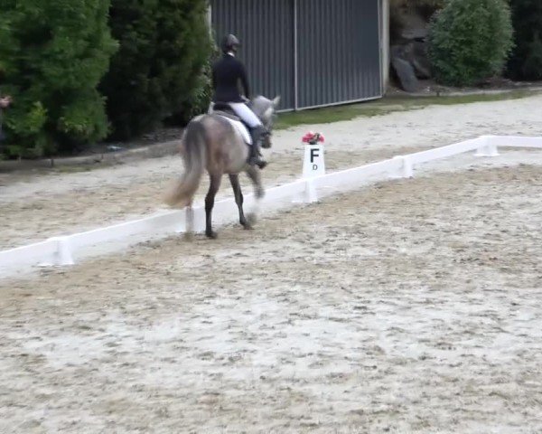 Reitturnier St. Margarethen 2024