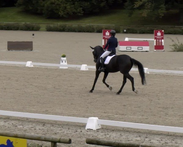Reitturnier Tübingen 2024