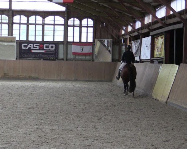 Reitturnier Elisenau 2024