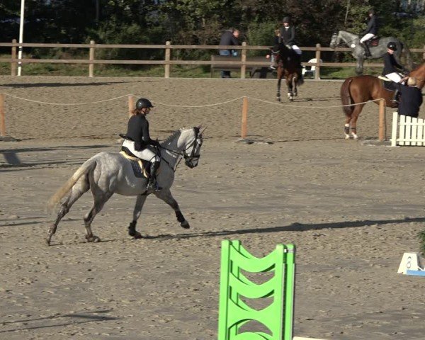 Reitturnier Scharnebeck 2024