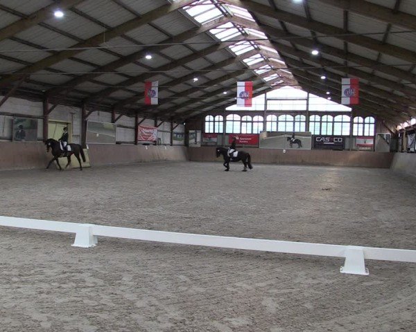 Reitturnier Elisenau 2024