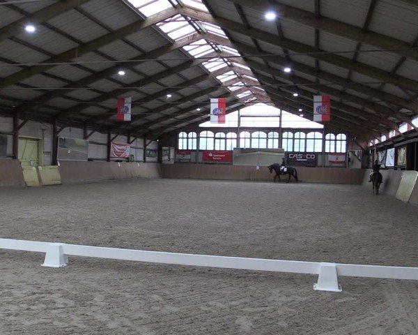Reitturnier Elisenau 2024