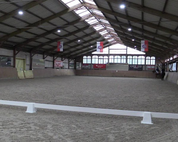 Reitturnier Elisenau 2024