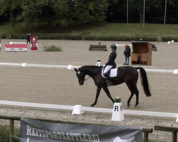 Reitturnier Tübingen 2024