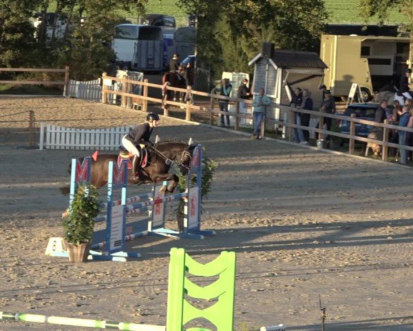 Reitturnier Scharnebeck 2024