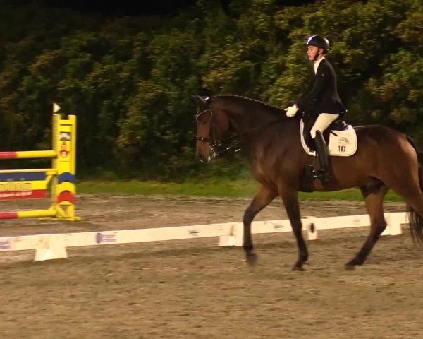 Reitturnier Risum-Lindholm 2024