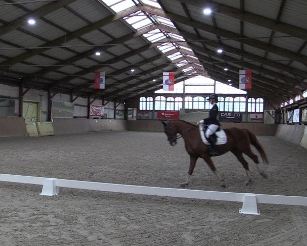 Reitturnier Elisenau 2024