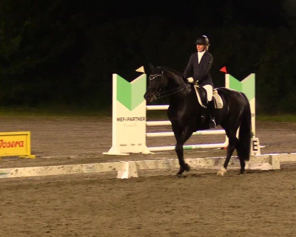 Reitturnier Risum-Lindholm 2024