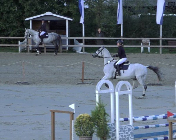 Reitturnier Scharnebeck 2024