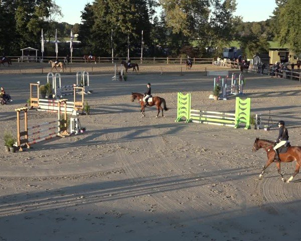 Reitturnier Scharnebeck 2024