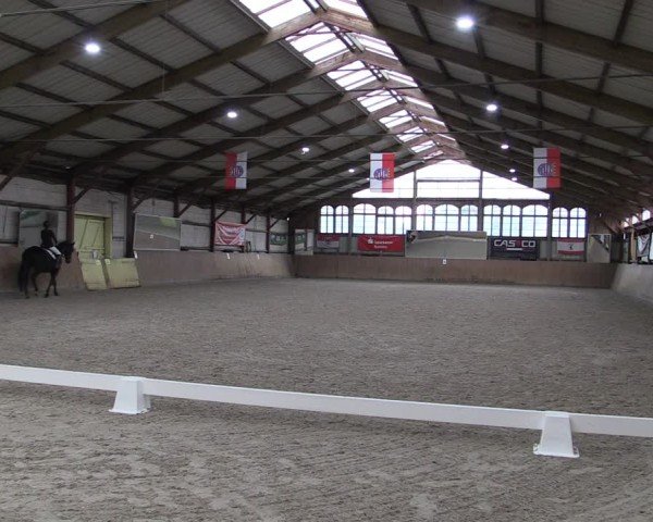 Reitturnier Elisenau 2024