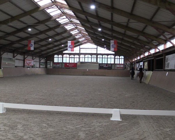 Reitturnier Elisenau 2024