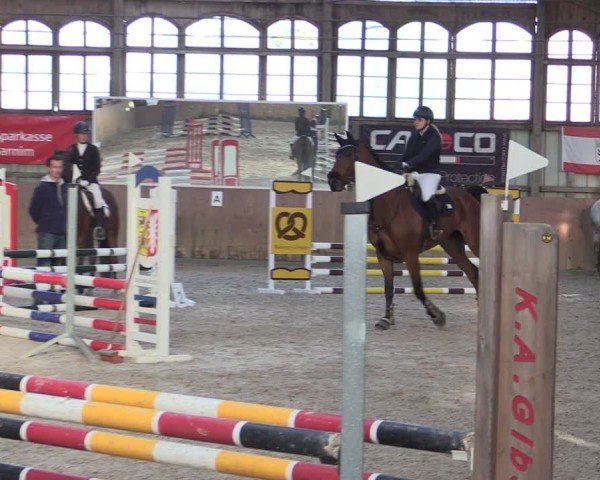 Reitturnier Elisenau 2024