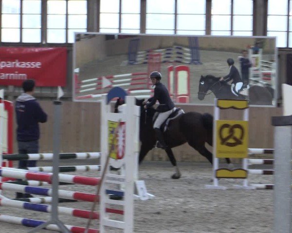 Reitturnier Elisenau 2024