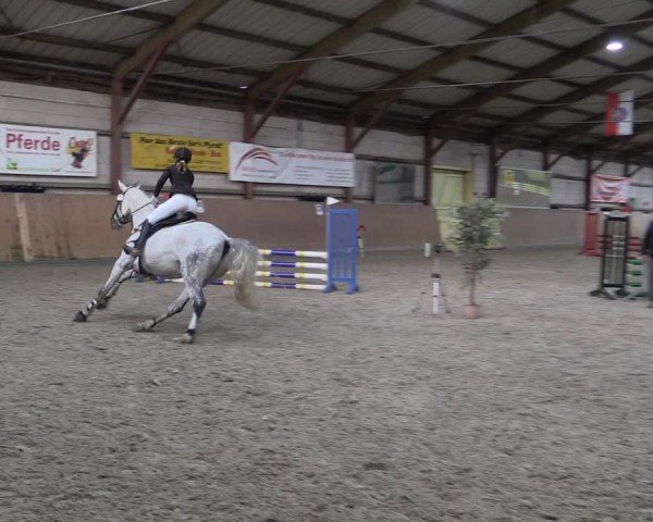 Reitturnier Elisenau 2024