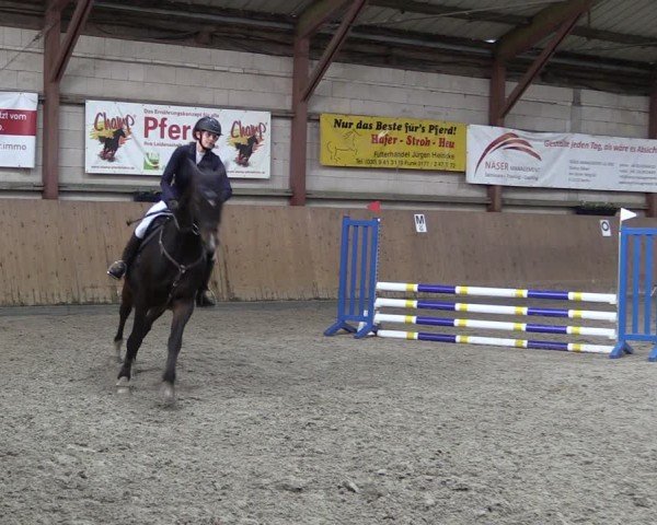 Reitturnier Elisenau 2024