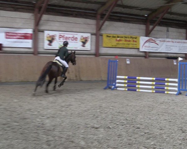 Reitturnier Elisenau 2024