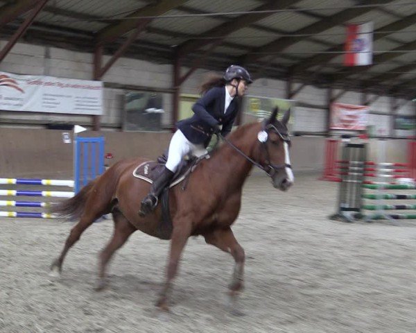 Reitturnier Elisenau 2024