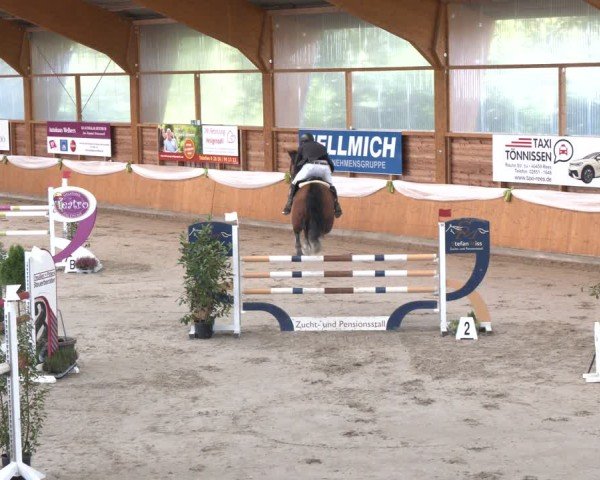 Reitturnier Xanten - Reitanlage Miss 2024