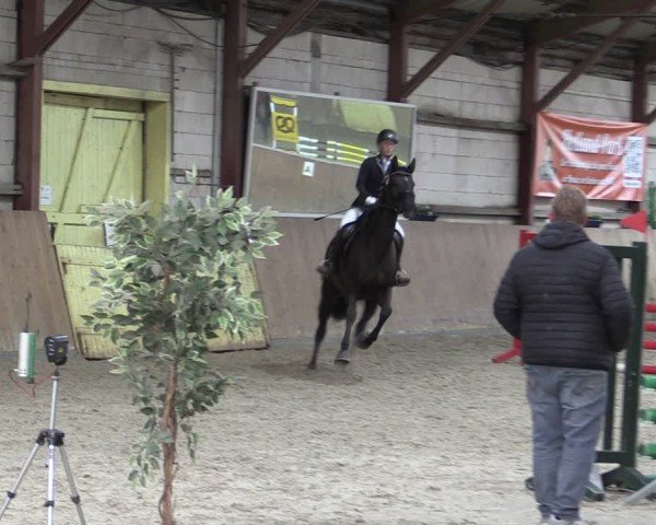 Reitturnier Elisenau 2024