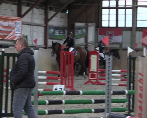 Reitturnier Elisenau 2024