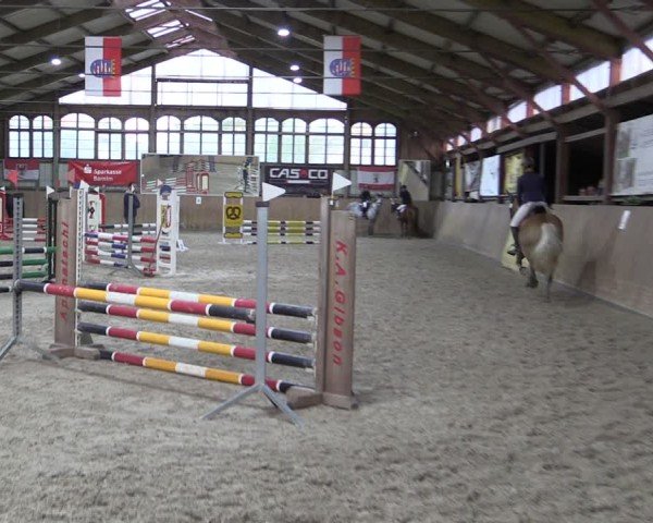 Reitturnier Elisenau 2024