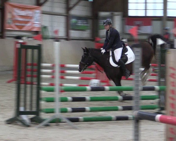 Reitturnier Elisenau 2024
