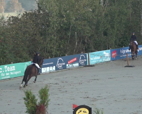 Reitturnier Scharnebeck 2024