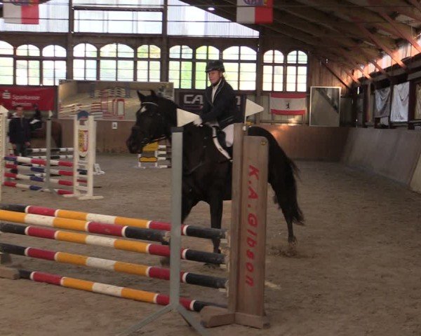 Reitturnier Elisenau 2024