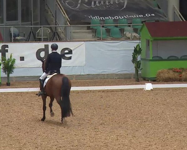 Reitturnier Kreuth/Opf. 2021
