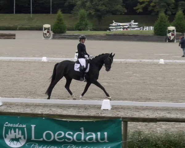 Reitturnier Tübingen 2024