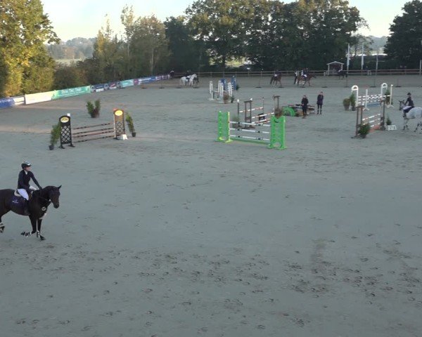 Reitturnier Scharnebeck 2024