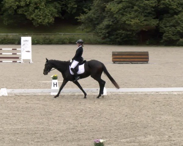 Reitturnier Tübingen 2024