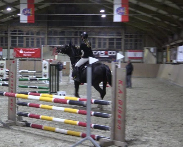 Reitturnier Elisenau 2024