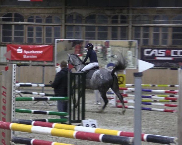 Reitturnier Elisenau 2024