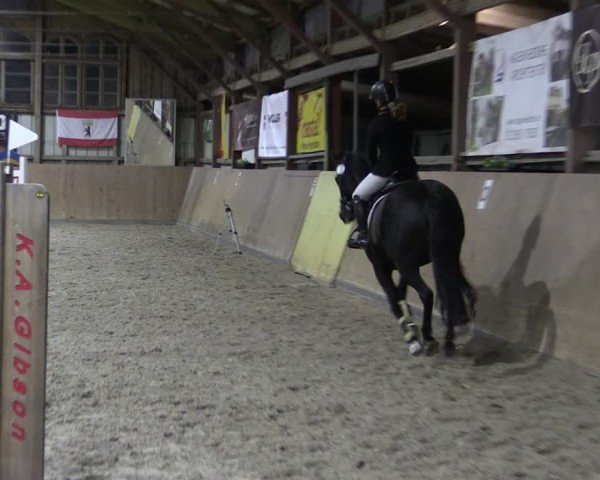 Reitturnier Elisenau 2024
