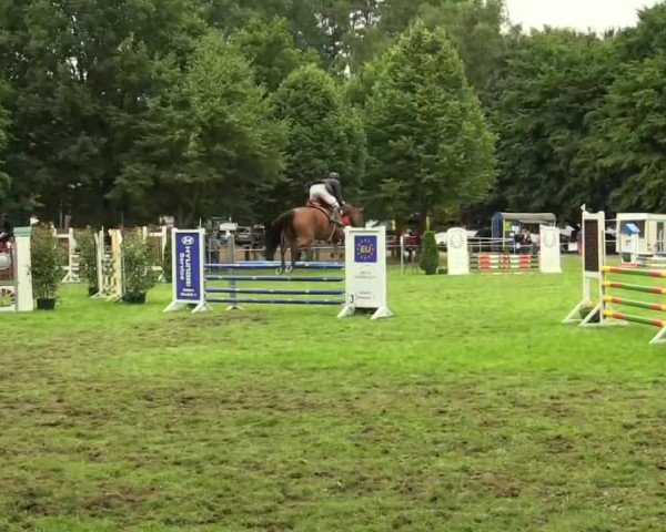 Reitturnier Kevelaer-Wetten 2013