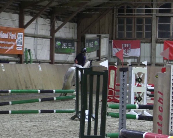 Reitturnier Elisenau 2024