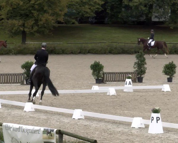 Reitturnier Tübingen 2024