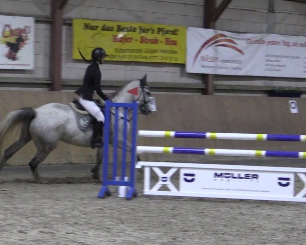 Reitturnier Elisenau 2024