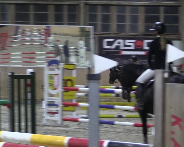 Reitturnier Elisenau 2024
