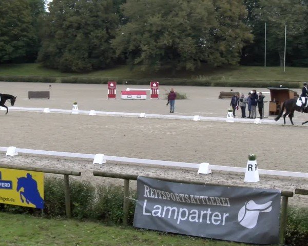 Reitturnier Tübingen 2024