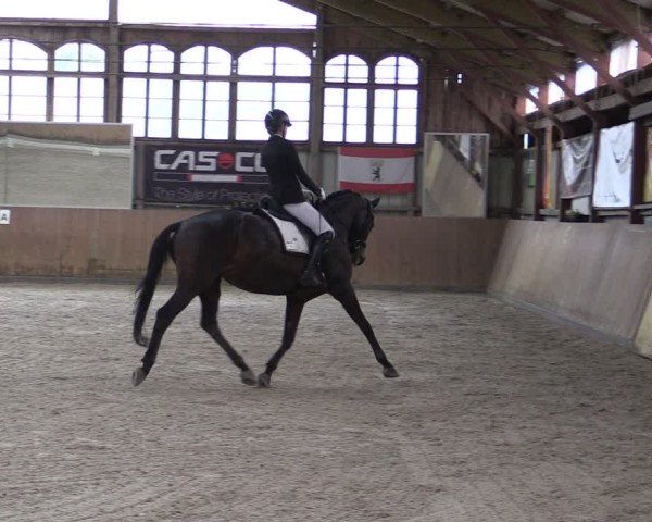 Reitturnier Elisenau 2024