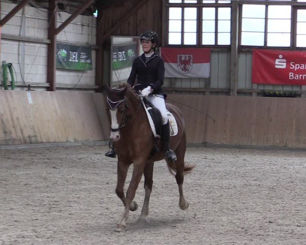 Reitturnier Elisenau 2024