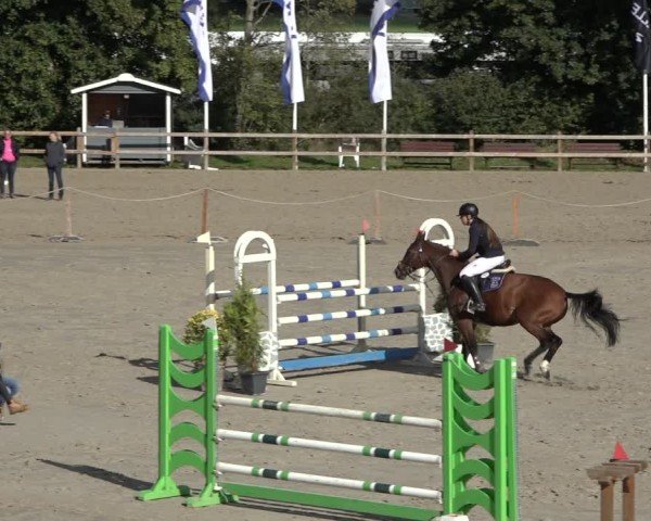 Reitturnier Scharnebeck 2024