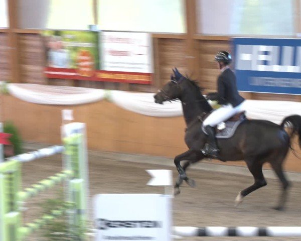 Reitturnier Xanten - Reitanlage Miss 2024