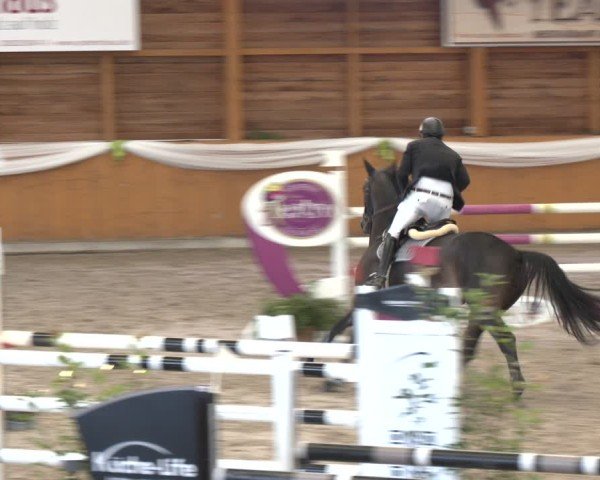 Reitturnier Xanten - Reitanlage Miss 2024