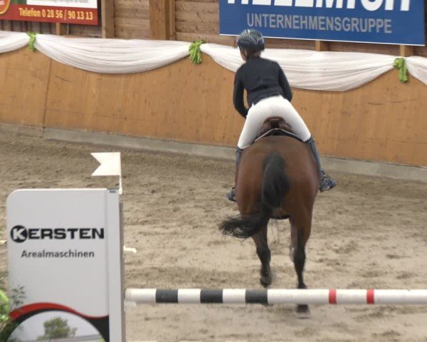 Reitturnier Xanten - Reitanlage Miss 2024