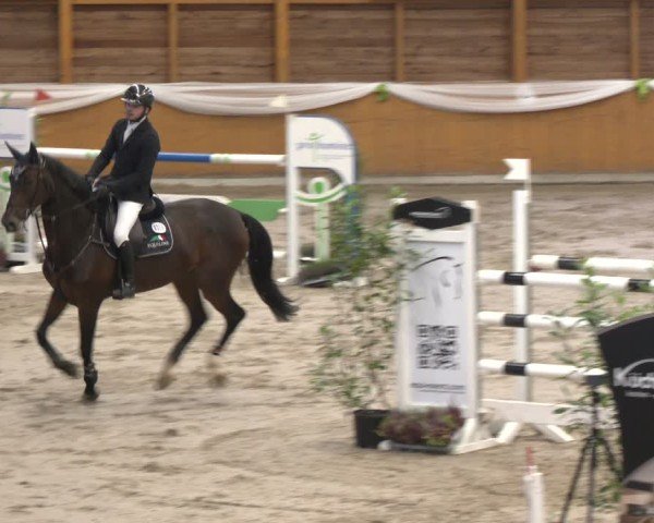 Reitturnier Xanten - Reitanlage Miss 2024