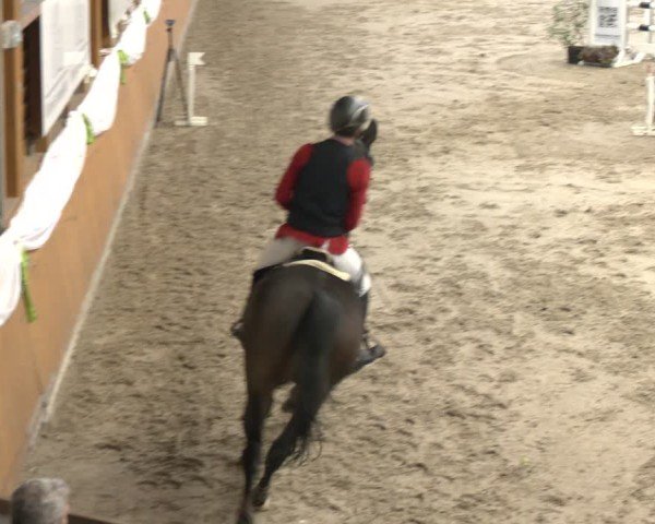 Reitturnier Xanten - Reitanlage Miss 2024
